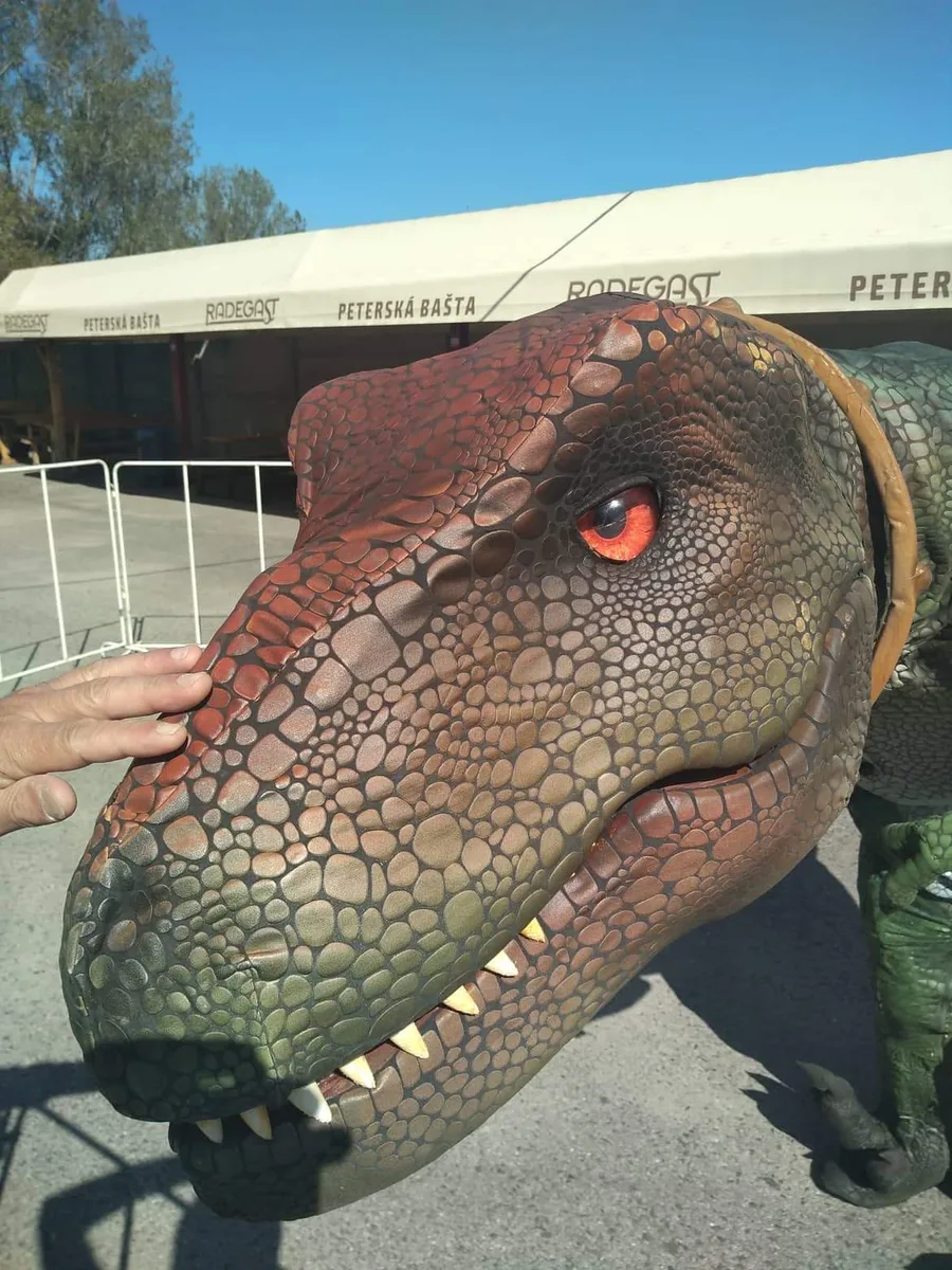 Dino Svet