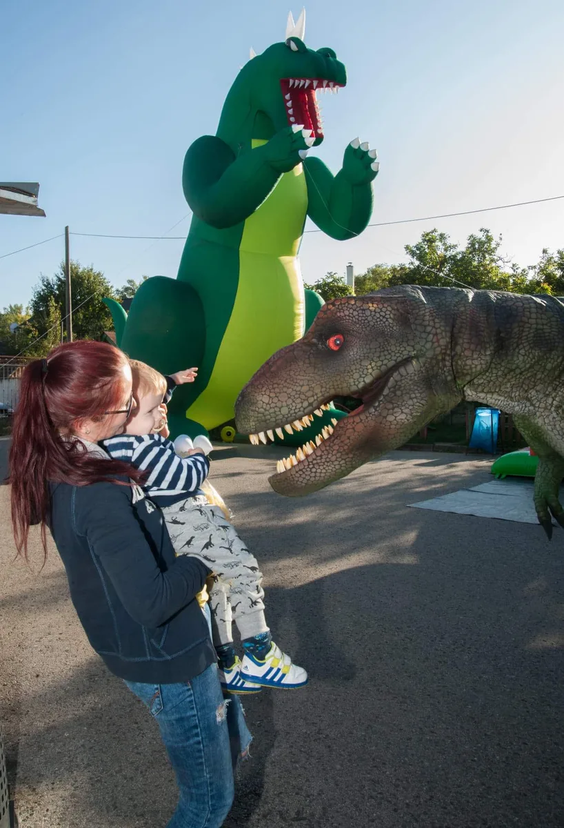 Dino Svet