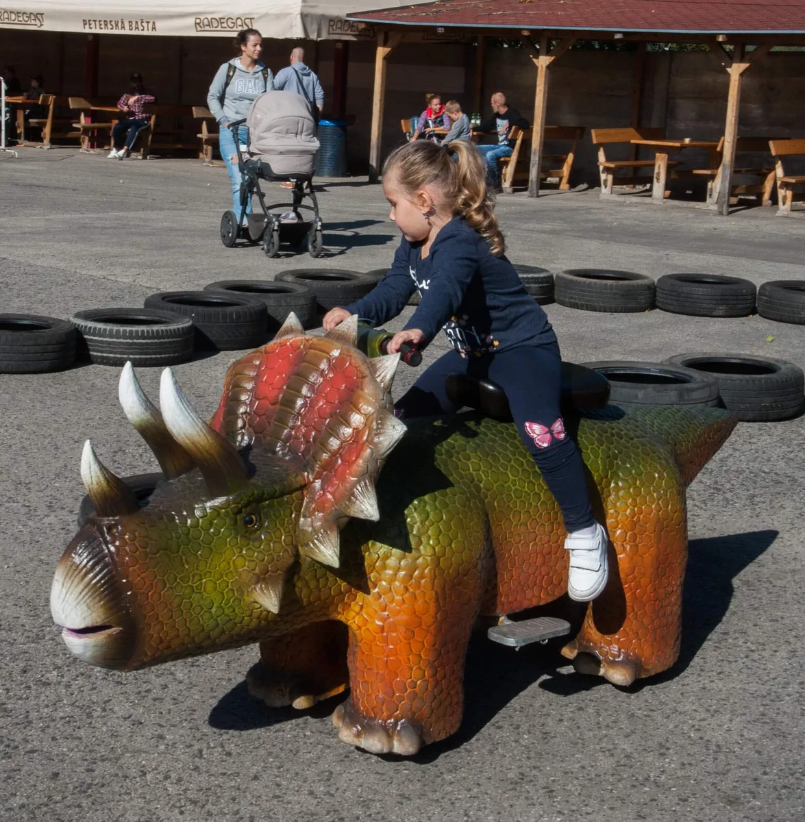 Dino Svet
