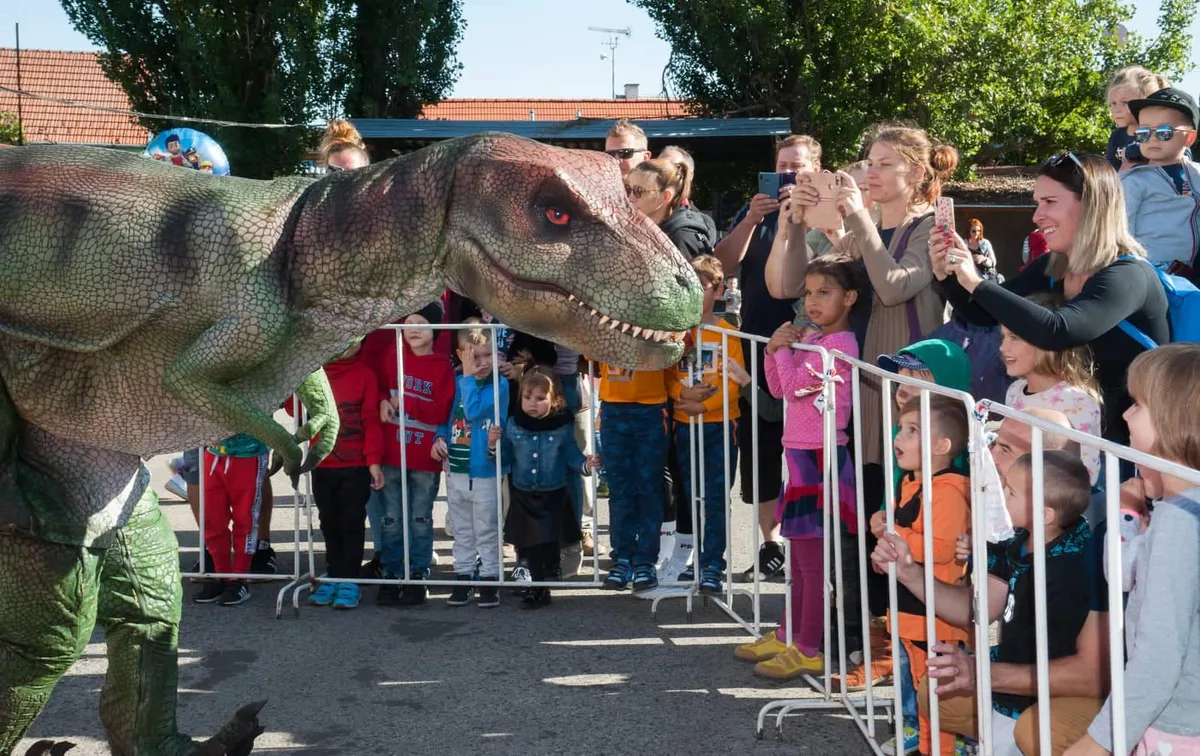 Dino Svet