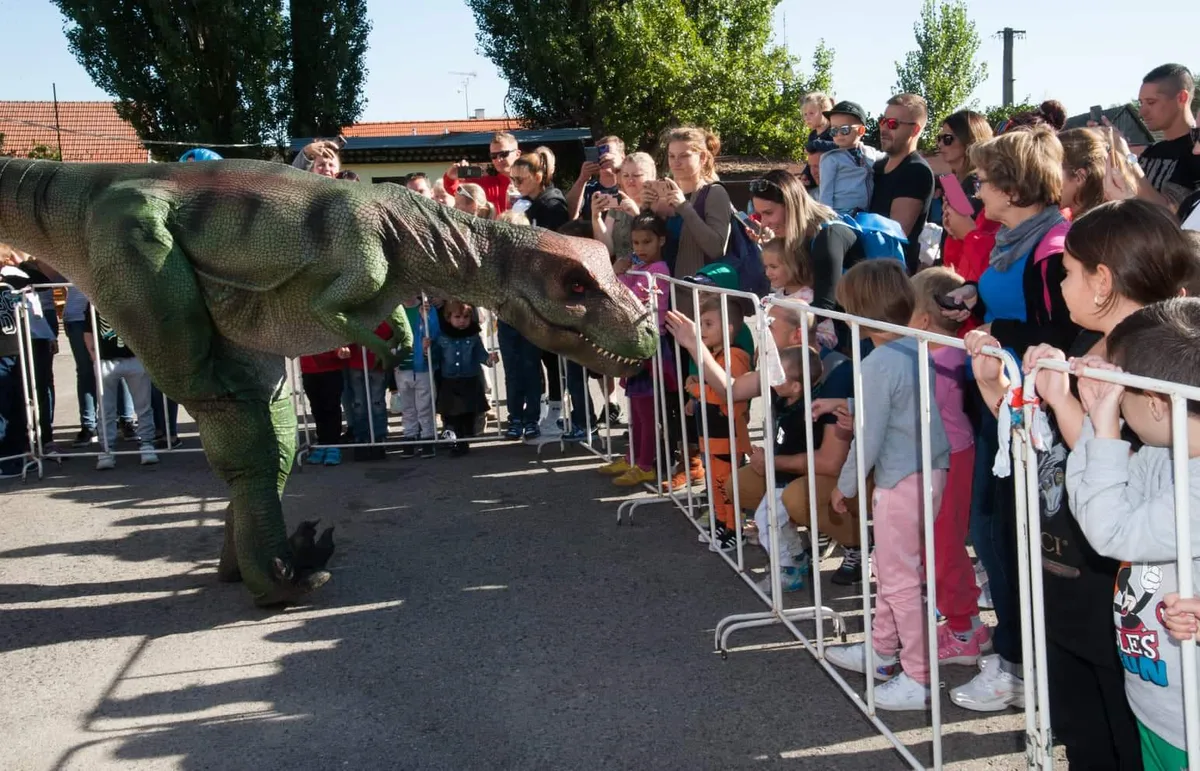 Dino Svet