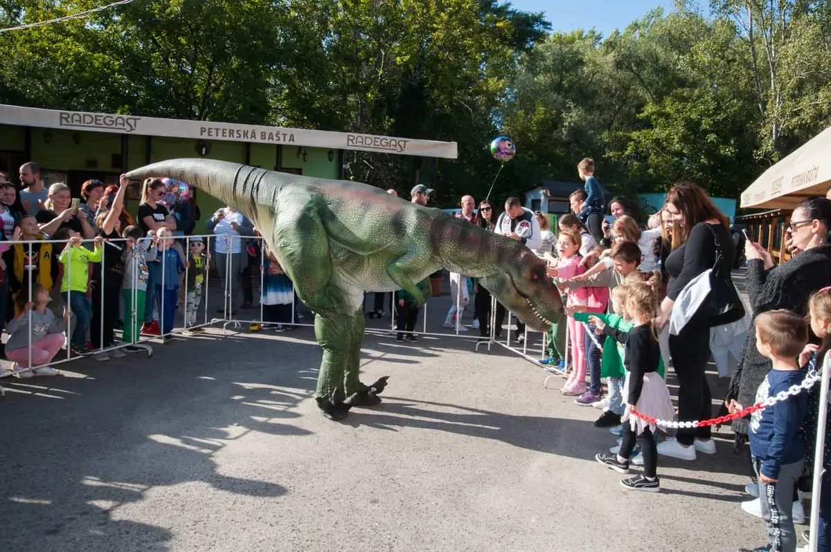 Dino Svet