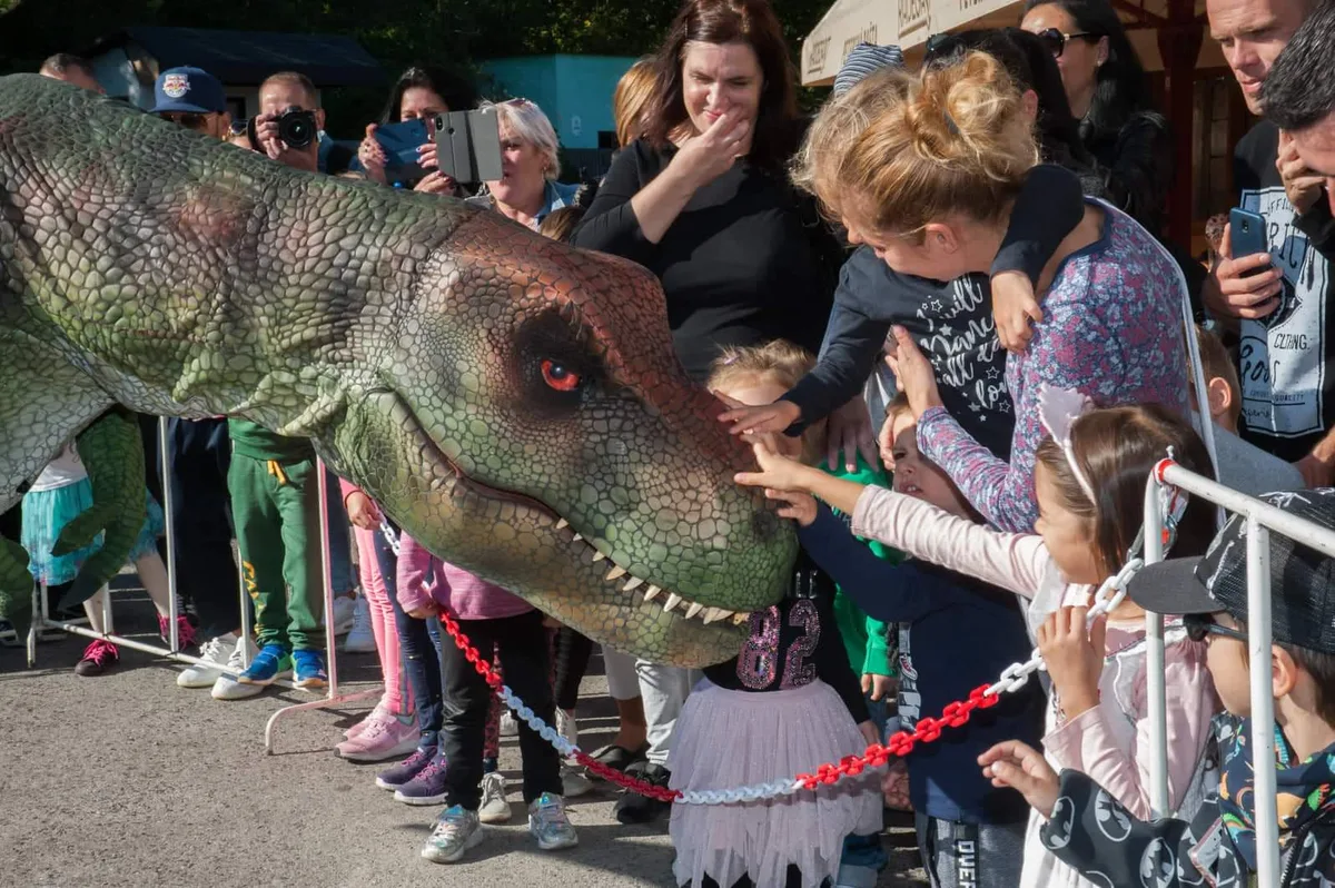 Dino Svet