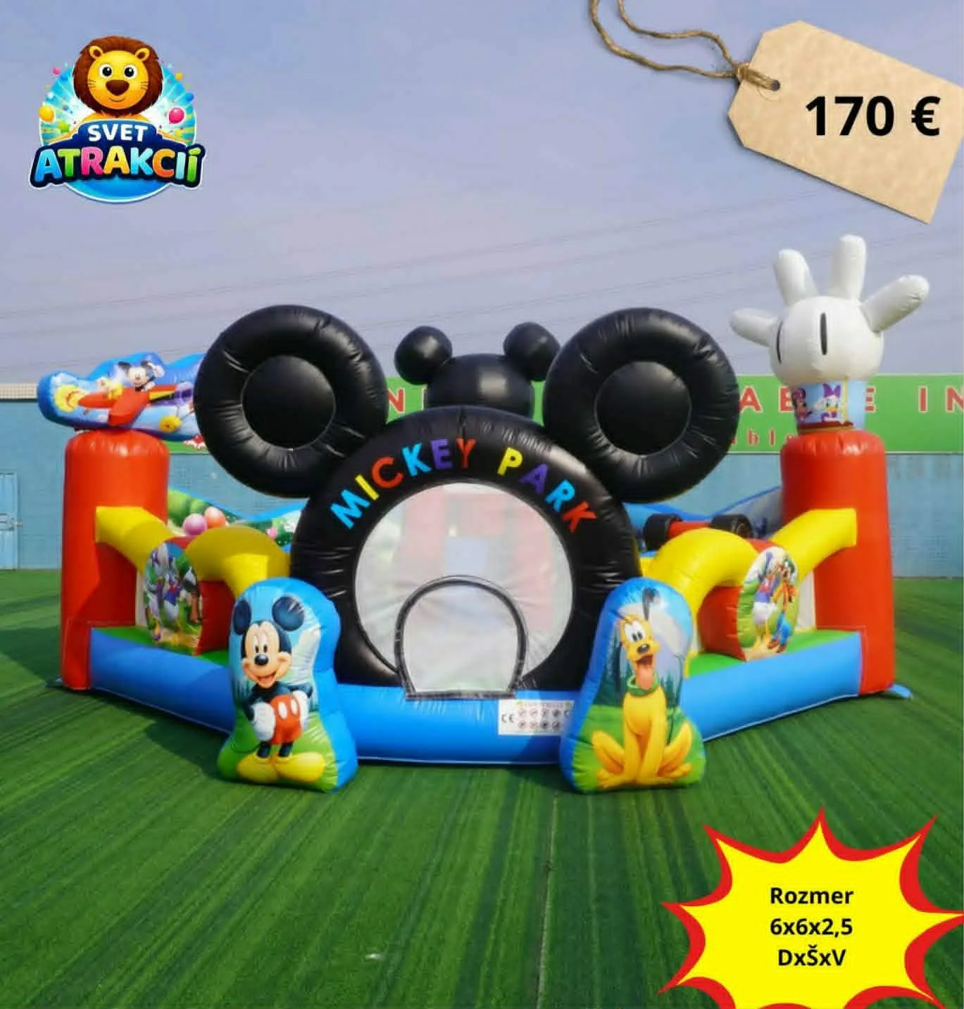 Mickey Park